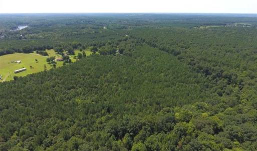 Photo of SOLD!!  11.63 Acres of Recreational Land For Sale in Warren County NC!