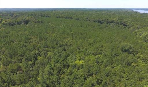 Photo of SOLD!!  11.63 Acres of Recreational Land For Sale in Warren County NC!