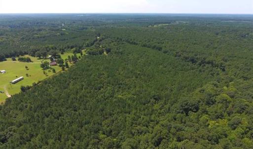 Photo of SOLD!!  11.63 Acres of Recreational Land For Sale in Warren County NC!