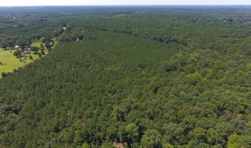 Photo of UNDER CONTRACT!  11.63 Acres of Recreational Land For Sale in Warren County NC!