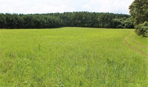 Photo of UNDER CONTRACT!  25 Acres of Recreational Land For Sale in Lunenburg County VA!