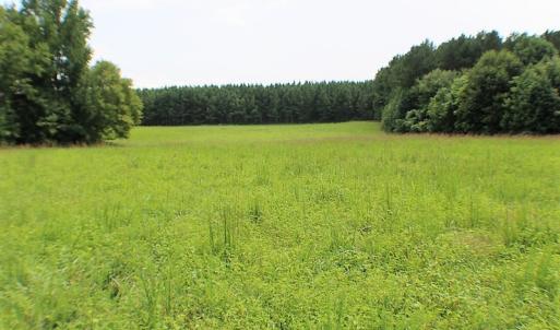 Photo of UNDER CONTRACT!  25 Acres of Recreational Land For Sale in Lunenburg County VA!
