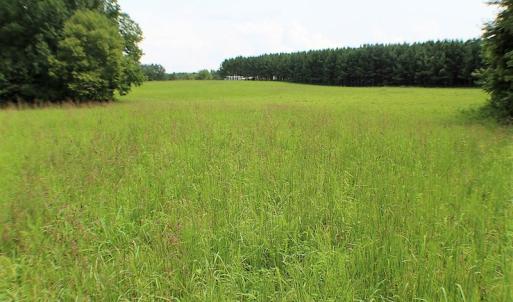 Photo of UNDER CONTRACT!  25 Acres of Recreational Land For Sale in Lunenburg County VA!