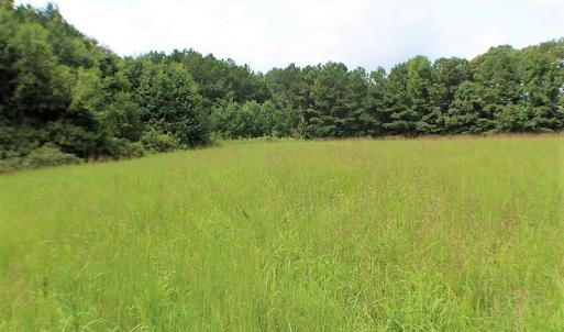 Photo of UNDER CONTRACT!  25 Acres of Recreational Land For Sale in Lunenburg County VA!