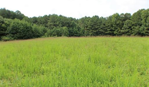 Photo of UNDER CONTRACT!  25 Acres of Recreational Land For Sale in Lunenburg County VA!