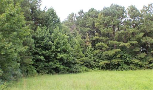 Photo of UNDER CONTRACT!  25 Acres of Recreational Land For Sale in Lunenburg County VA!