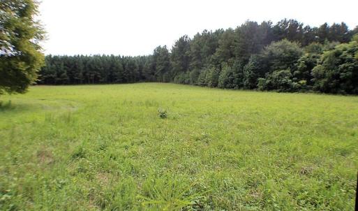 Photo of UNDER CONTRACT!  25 Acres of Recreational Land For Sale in Lunenburg County VA!