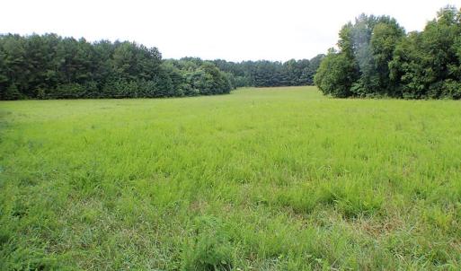Photo of UNDER CONTRACT!  25 Acres of Recreational Land For Sale in Lunenburg County VA!