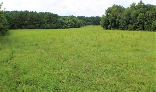 Photo of UNDER CONTRACT!  25 Acres of Recreational Land For Sale in Lunenburg County VA!