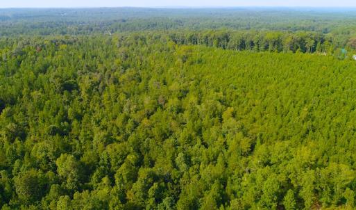 Photo of UNDER CONTRACT! 15 Acres of Residential Land For Sale in Chatham County NC!