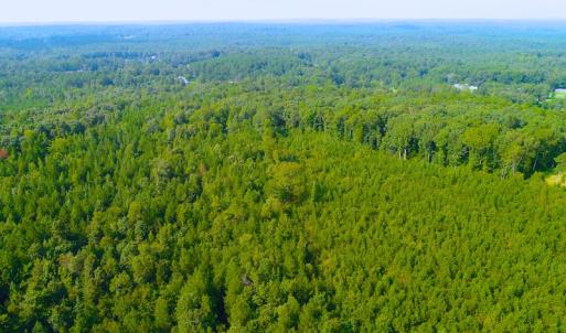 Photo of UNDER CONTRACT! 15 Acres of Residential Land For Sale in Chatham County NC!