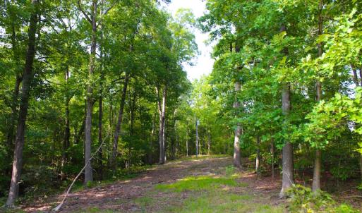 Photo of UNDER CONTRACT! 15 Acres of Residential Land For Sale in Chatham County NC!