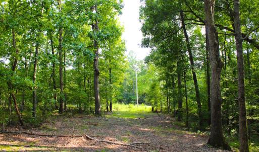 Photo of UNDER CONTRACT! 15 Acres of Residential Land For Sale in Chatham County NC!