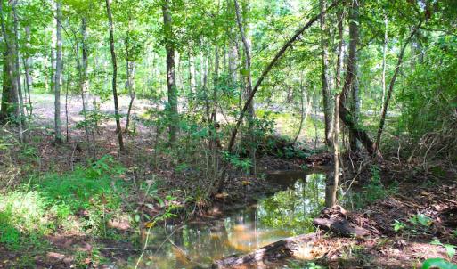 Photo of UNDER CONTRACT! 15 Acres of Residential Land For Sale in Chatham County NC!