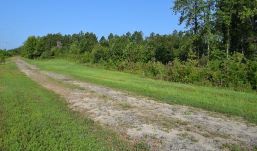 Photo of UNDER CONTRACT!  10 Acres of Hunting Land For Sale in Henry County VA!