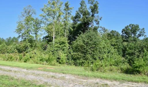 Photo of UNDER CONTRACT!  10 Acres of Hunting Land For Sale in Henry County VA!