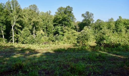 Photo of UNDER CONTRACT!  10 Acres of Hunting Land For Sale in Henry County VA!
