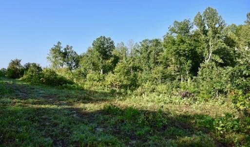 Photo of UNDER CONTRACT!  10 Acres of Hunting Land For Sale in Henry County VA!