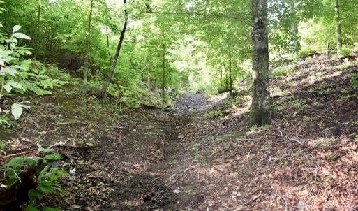 Photo of UNDER CONTRACT!  10 Acres of Hunting Land For Sale in Henry County VA!
