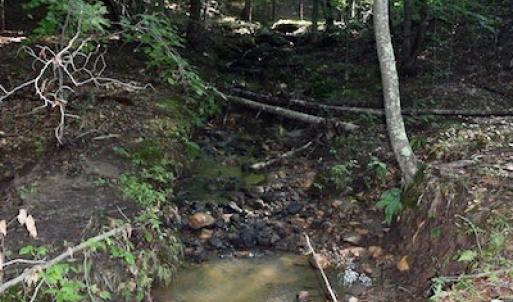 Photo of UNDER CONTRACT!  10 Acres of Hunting Land For Sale in Henry County VA!