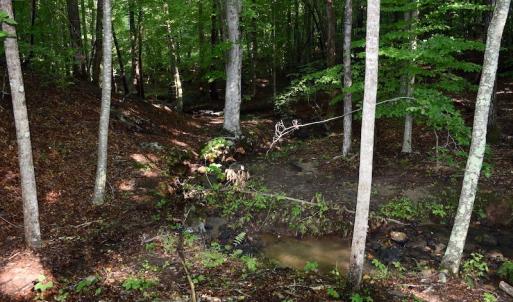 Photo of UNDER CONTRACT!  10 Acres of Hunting Land For Sale in Henry County VA!