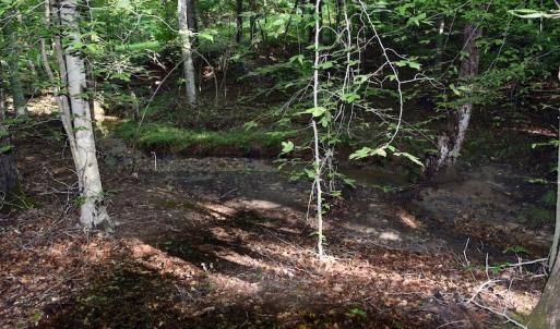 Photo of UNDER CONTRACT!  10 Acres of Hunting Land For Sale in Henry County VA!