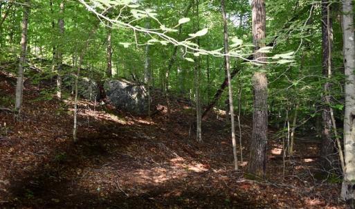 Photo of UNDER CONTRACT!  10 Acres of Hunting Land For Sale in Henry County VA!