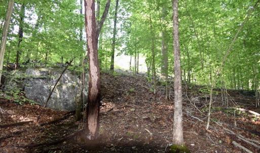 Photo of UNDER CONTRACT!  10 Acres of Hunting Land For Sale in Henry County VA!