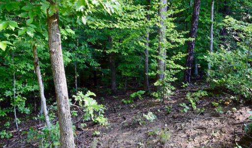 Photo of UNDER CONTRACT!  10 Acres of Hunting Land For Sale in Henry County VA!