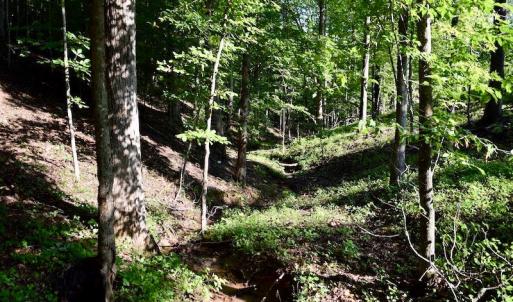 Photo of UNDER CONTRACT!  10 Acres of Hunting Land For Sale in Henry County VA!