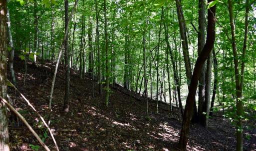 Photo of UNDER CONTRACT!  10 Acres of Hunting Land For Sale in Henry County VA!