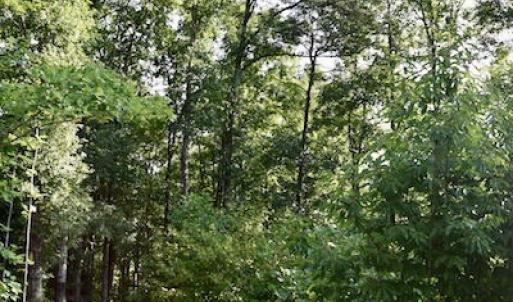 Photo of UNDER CONTRACT!  10 Acres of Hunting Land For Sale in Henry County VA!