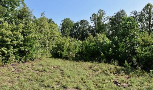 Photo of UNDER CONTRACT!  10 Acres of Hunting Land For Sale in Henry County VA!