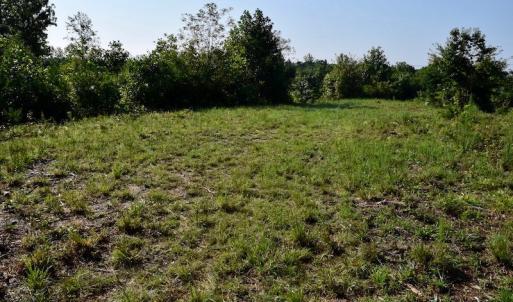 Photo of UNDER CONTRACT!  10 Acres of Hunting Land For Sale in Henry County VA!
