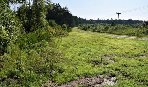 Photo of UNDER CONTRACT!  10 Acres of Hunting Land For Sale in Henry County VA!