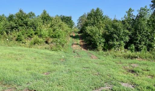 Photo of UNDER CONTRACT!  10 Acres of Hunting Land For Sale in Henry County VA!