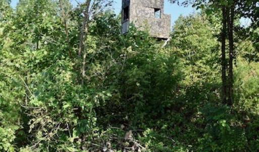 Photo of UNDER CONTRACT!  10 Acres of Hunting Land For Sale in Henry County VA!