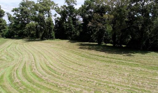 Photo of SOLD!  3 Acre Waterfront Building Lot For Sale in Perquimans County NC!