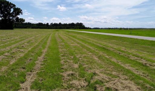 Photo of SOLD!  3 Acre Waterfront Building Lot For Sale in Perquimans County NC!
