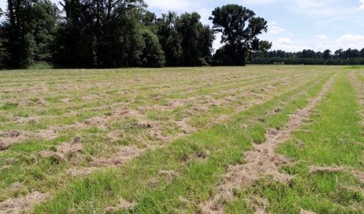 Photo of SOLD!  3 Acre Waterfront Building Lot For Sale in Perquimans County NC!