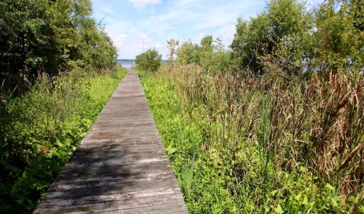 Photo of SOLD!  3 Acre Waterfront Building Lot For Sale in Perquimans County NC!