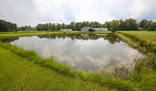 Photo of SOLD!  7 Acres of Residential and Farm Land For Sale in Tyrrell County NC!