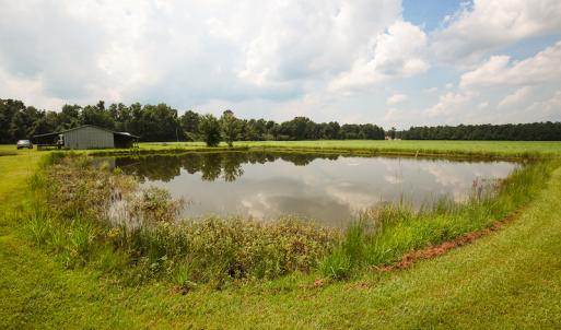 Photo of SOLD!  7 Acres of Residential and Farm Land For Sale in Tyrrell County NC!