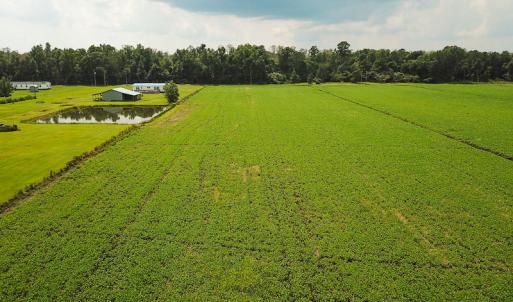 Photo of SOLD!  7 Acres of Residential and Farm Land For Sale in Tyrrell County NC!
