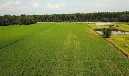 Photo of SOLD!  7 Acres of Residential and Farm Land For Sale in Tyrrell County NC!