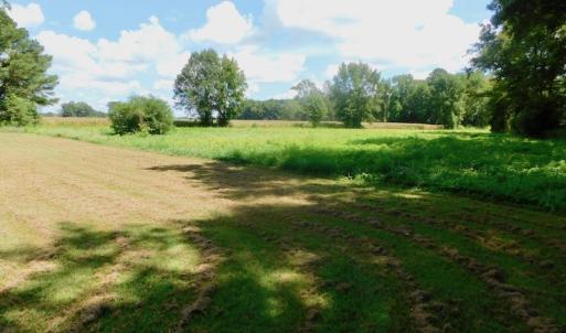 Photo of UNDER CONTRACT!  3 Acres of Land With Home For Sale in Wilson County!