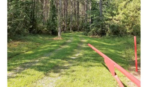 Photo of SOLD!!  24 Acres of Waterfront Lot off Farnham Creek in Richmond County VA!