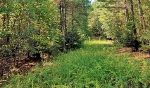 Photo of SOLD!!  24 Acres of Waterfront Lot off Farnham Creek in Richmond County VA!