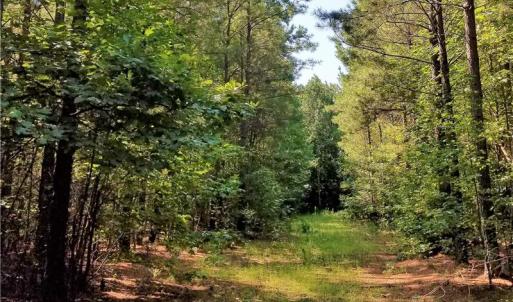 Photo of SOLD!!  24 Acres of Waterfront Lot off Farnham Creek in Richmond County VA!