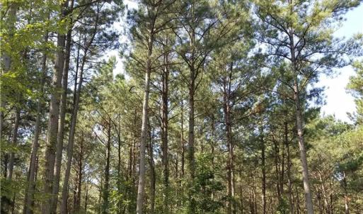 Photo of SOLD!!  24 Acres of Waterfront Lot off Farnham Creek in Richmond County VA!